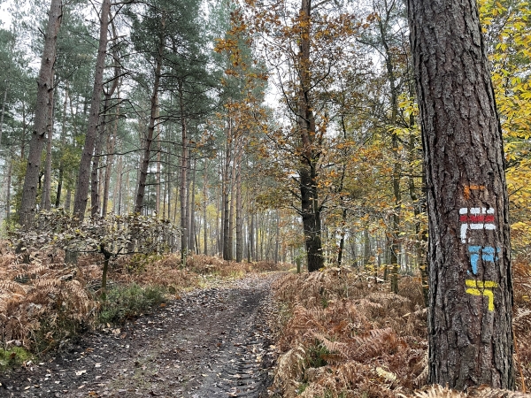 Juste avant la descente vers la Petite Vallée, nous tournons à gauche, en suivant la balise jaune du circuit.