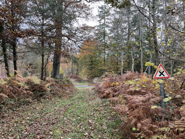 Nous avons tourné vers le nord, et allons traverser la D124 pour continuer en face.