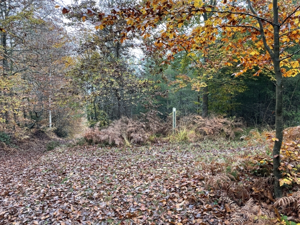 Nous tournons maintenant à droite pour rejoindre la rue de la Maison Forestière. On voit, en face, un poteau de balisage, aucun risque de se perdre, même sans la trace GPS.