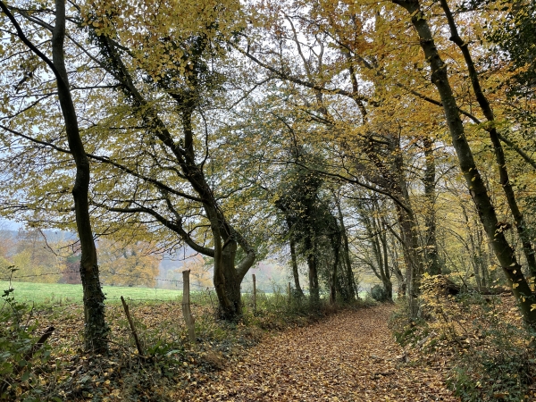 Le très beau chemin des Vaux descend vers la ligne ferroviaire Serquigny-Oissel.