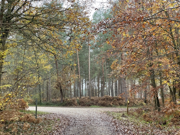 Nous retrouvons le GR224RD que nous allons suivre sur la gauche.