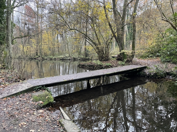 La promenade du Vivier est vraiment agréable. Elle avance en sous bois, le long de la rivière Valmont. De nombreux foulques macroules occupent la rivière. Habitués aux promeneurs, ils sont peu farouches.