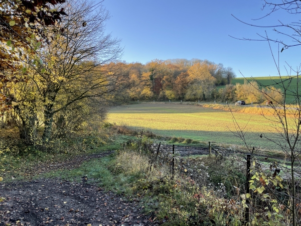 En lisière du bois, près de la D151, nous tournons ici à gauche, toujours sur le GR25C.