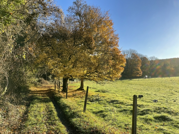 Nous arrivons à la route du Four à Chaux.