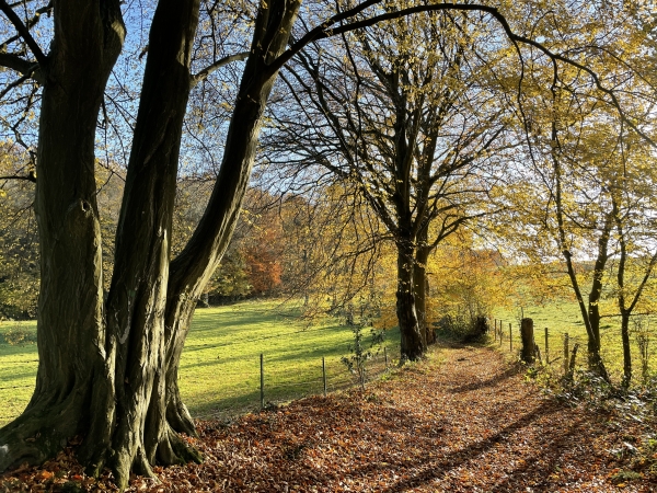 Après Coqueréaumont, nous quittons le GR25C pour suivre le chemin de Fond de Bray, dans des paysages toujours aussi agréables.