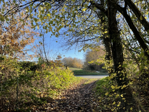 Nous traversons la D53 et continuons en face.