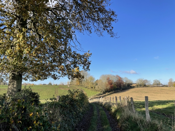 Chemin des Chasse-Marée en direction de Fontaine-le-Bourg.
