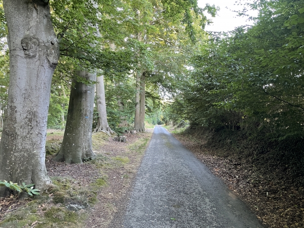 Le chemin de la Broche des Bois n'est goudronné qu'au voisinage du hameau de la Côte Saint-Gilles.
