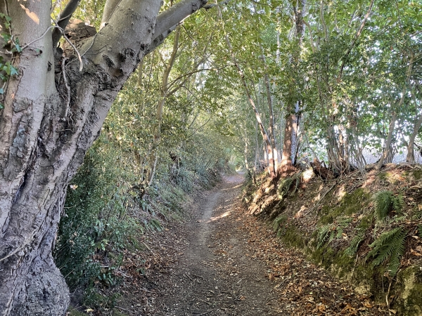 Petite descente pour aller traverser la D87.