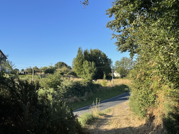 Je quitte l'agréable chemin de la Broche des Bois que j'ai suivi sur 2km. Je vais traverser la D87 pour continuer vers le chemin des Dames.