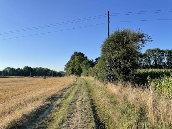 Le chemin des Dames traverse le plateau agricole, avant de descendre vers la vallée de la Tourville. Les Dames en question sont les bénédictines de l'abbaye Saint-Léger.