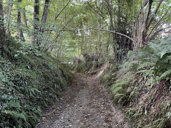 Je descends vers la vallée de la Tourville.