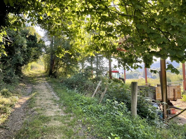 La Sente Saint-Michel domine la vallée de la Tourville, avant de s'enfoncer dans les bois du coteau.