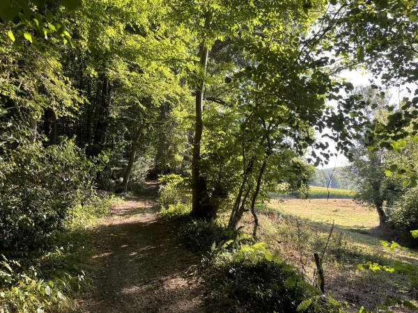 La Sente Saint-Michel domine la vallée de la Tourville, avant de s'enfoncer dans les bois du coteau.