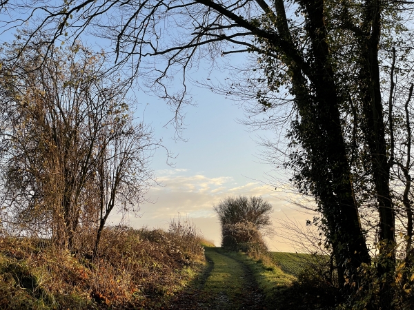 Nous arrivons sur le plateau en même temps que le soleil.