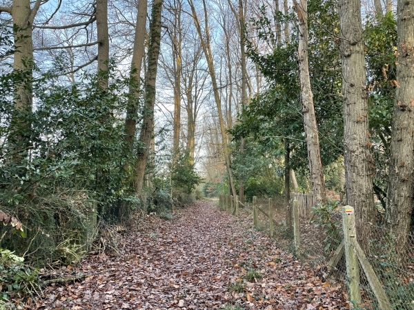 Nous longeons la Grande Fortelle, qui est un hameau récent, construit dans le bois du même nom.