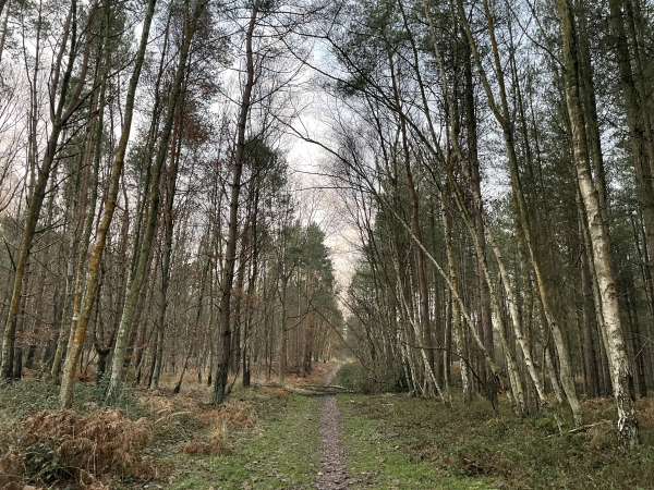 Nous partons du parking du Carrefour du Chêne à Leu, sur la D982, et partons vers sud.