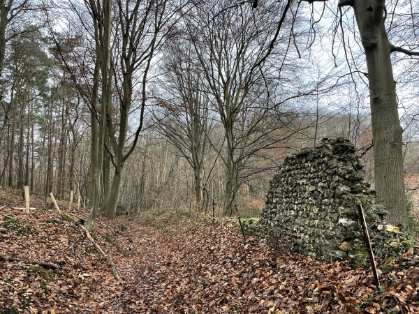 Nous longeons maintenant les restes du mur du Clos des Templiers. Les Templiers du Saint-Vaubourg ont bien créé la clairière du Génétey, dans laquelle ils bâtissent une ferme au début du XIIIe siècle. Après la dissolution de l'ordre, la ferme, devenue le manoir de l'Aumônerie, et la clairière dépendent de l'abbaye Saint-Georges. Ce n'est qu'au début du XXe siècle que le manoir de l'Aumônerie est appelé Maison des Templiers.