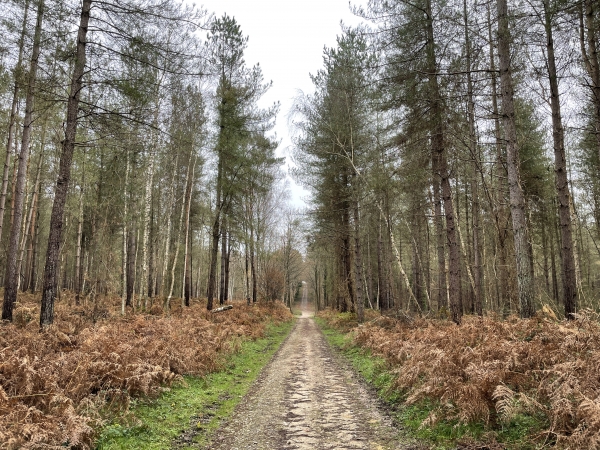 Dernière ligne droite avant le retour au point de départ.