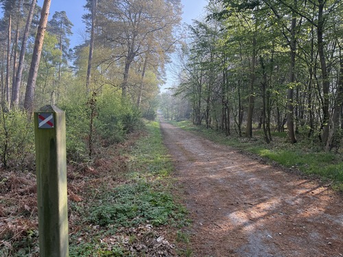 Nous quittons le GR2 pour suivre la voie forestière de St-Georges.