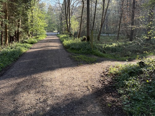 Juste avant de rejoindre la D982, nous tournons ici à droite pour rejoindre le parking du Chêne à Leu.