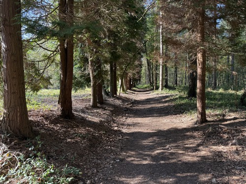 Ce charmant chemin part du parking et rejoint le GR2.