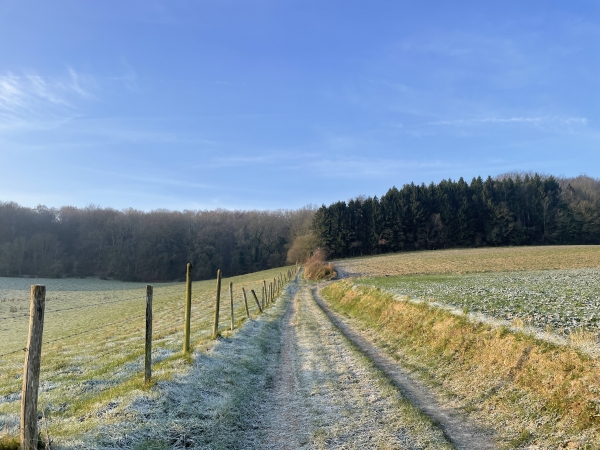 Après avoir traversé le hameau de Ecremesnil, nous montons vers le massif de Pimont.