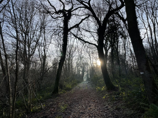 Sur le massif, nous suivons le chemin de crête dans le bois de Pimont.