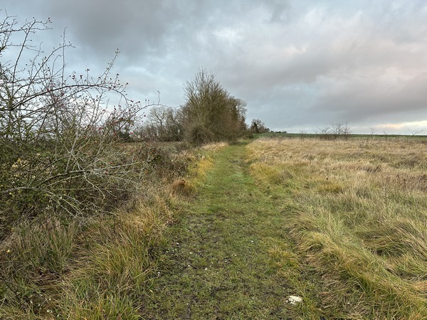Nous montons vers le Mont des Sauleaux.