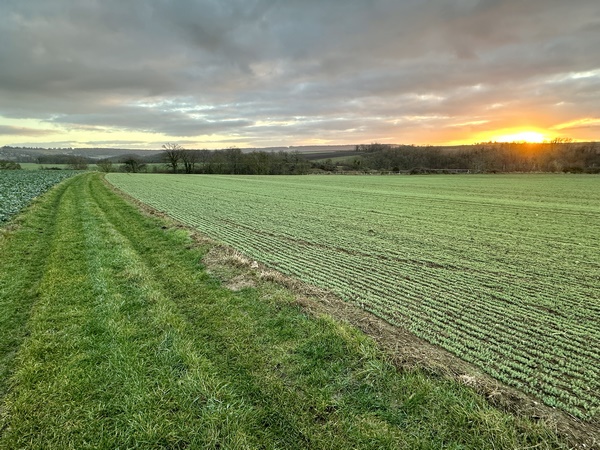 Nous arrivons sur le plateau agricole en même temps que le soleil.