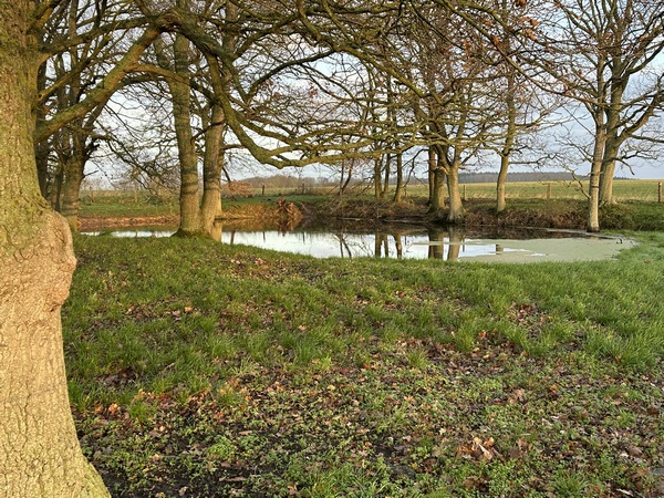 Arrivés à la Mare Jumelle, nous allons quitter le GR2 pour suivre un chemin vers le sud.