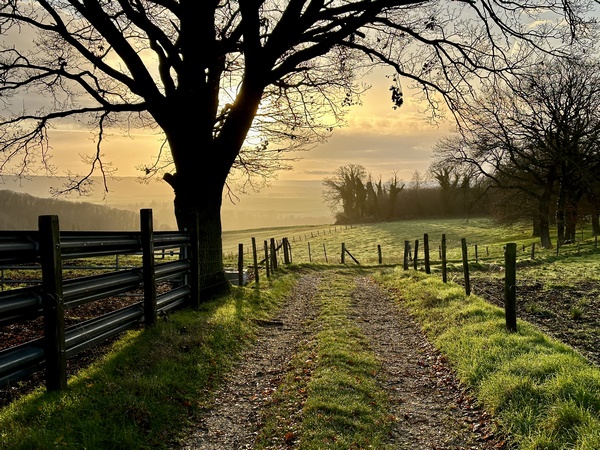 C'est un beau chemin, sublimé la lumière d'une belle journée d'hiver.