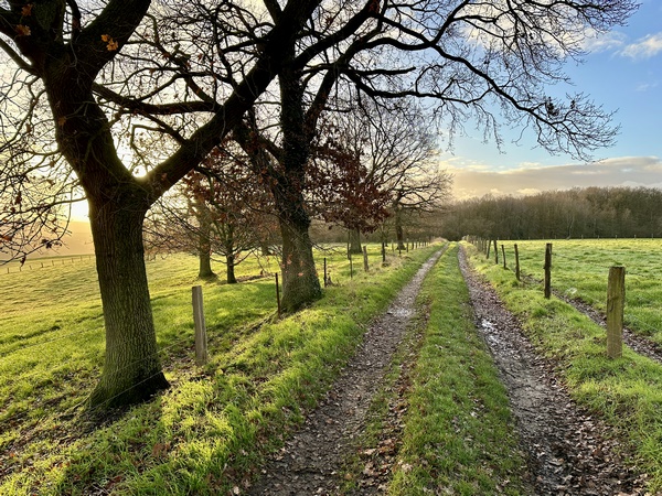 Le chemin descend pendant 1750 mètres vers la route de Daubeuf.