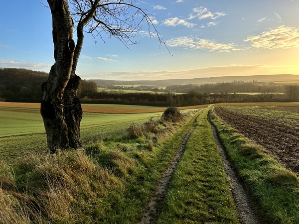 Panorama sur le vallon de Daubeuf-près-Vatteville.