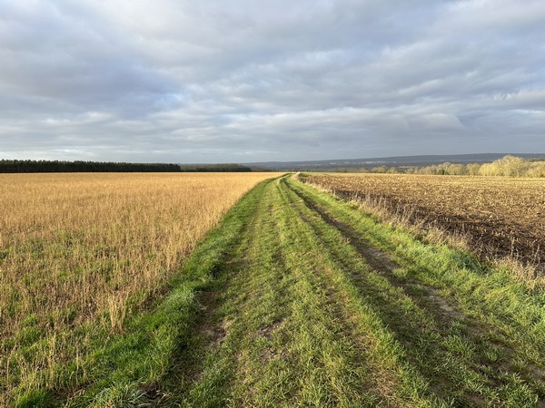 A l'entrée de Connelles, nous quittons la route pour monter sur le chemin de la Charrière, au sud du bourg.