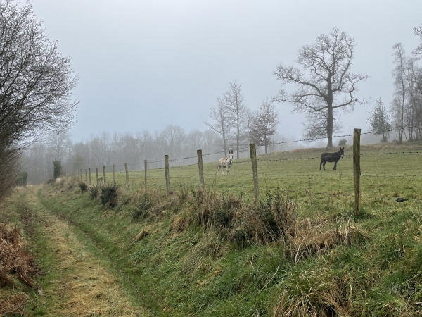 La petite route de Canne Haros devient chemin et monte vers le plateau.