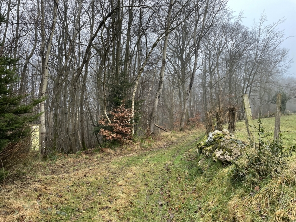 Nous allons tourner à gauche avant le sommet de la colline. Au carrefour des chemins, on voit l'un des panneaux qui agrémentent le circuit. Celui-ci évoque le travail des équarisseurs de grès qui taillaient la pierre sur cette colline. Les photos des panneaux sont dans l'album de la rando.