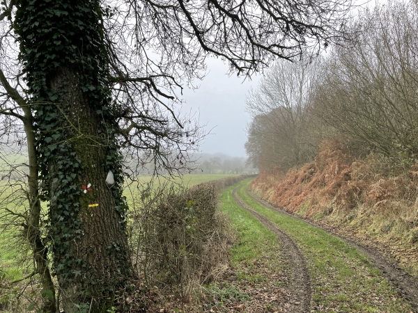 Arrivés dans la Grande Vallée, nous quittons le GR26. Le balisage jaune de notre circuit est bien présent, mais le tracé du circuit est complexe, la trace GPS reste bien utile.