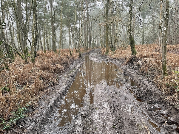 Il a plu ces derniers jours, et le sol d'argile dans les bois retient bien l'eau. Il y a toujours la possibilité d'éviter les flaques, le parapluie attribué à ce circuit est donc orange.