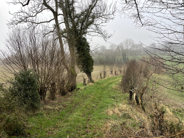 Nous traversons le vallon qui relie St-Aubin-de-Bonneval à La Folletière-Abenon.
