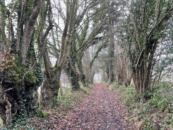 Arrivés près de la Hérissonnière, nous allons tourner vers le nord en direction de la Tillaye.