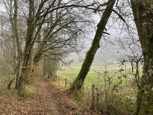 Nous descendons vers la source du ruisseau de la Bigotière, affluent de l'Orbiquet.
