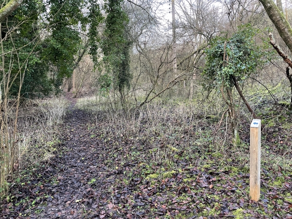 Nous quittons le GR2 pour suivre le Sentier des Azurés. Attention, ça grimpe ! Il est possible de rester sur le GR2, un peu plus doux.