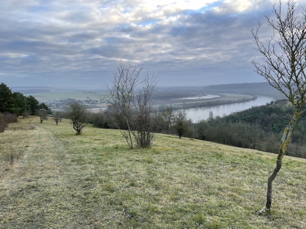 Regard arrière sur les pelouses calcaires des coteaux. Elles accueillent des plantes méditerranéennes comme l'origan, le thym, le genévrier, ainsi que de nombreuses orchidées. En été, on peut entendre le chant de petites cigales de montagne ! Les azurés, qui ont donné leur nom au sentier, sont des papillons bleus. Il faudra refaire ce circuit en été !