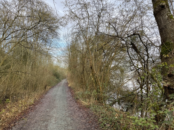 Nous suivons le chemin de halage en direction de St-Pierre-du-Vauvray. Nous sommes séparés de la Seine par la végétation qui consolide la berge. Le chemin de halage est goudronné, nous l'avons compté comme route dans le rapport route/chemin.