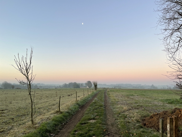 Nous quittons la route de Fongueusemare, et prenons à gauche le chemin de la ferme Morel.