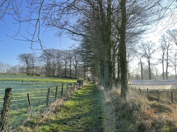Chemin de La Veslière.
