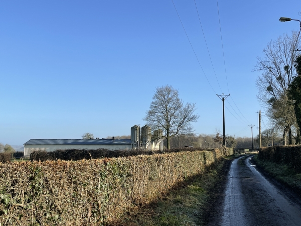 Nous arrivons au Fouras, dans l'un de ces essarts déboisés dès le Moyen-Âge.
