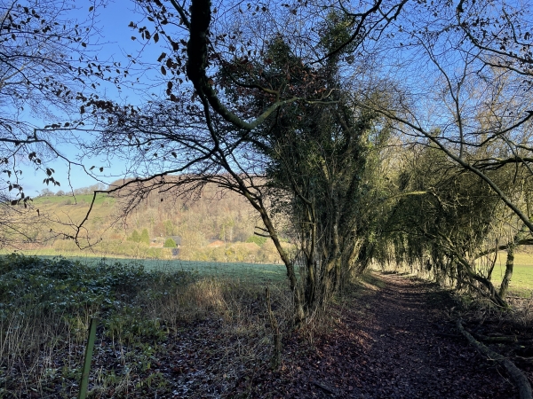 Nous descendons vers la vallée de la Grippe, avec sa ferme isolée dont l'habitation est plutôt un manoir.