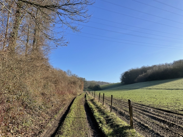 Après la Grippe, nous suivons le chemin des Dinderelles, que nous allons quitter pour monter à gauche vers le Mont Aimé.